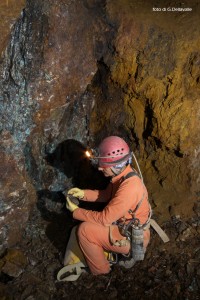 Particolare delle mineralizzazioni in ferro sulle pareti, foto di G. Dellavalle Particolare delle mineralizzazioni in ferro sulle pareti, foto di G. Dellavalle